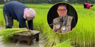 DA, nag-apela na maaprubahan an P198.4-B Budget sa Senado sa tahaw kan grabeng krisis sa Agrikultura