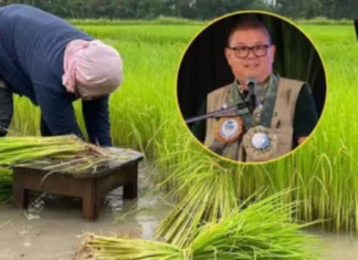 DA, nag-apela na maaprubahan an P198.4-B Budget sa Senado sa tahaw kan grabeng krisis sa Agrikultura