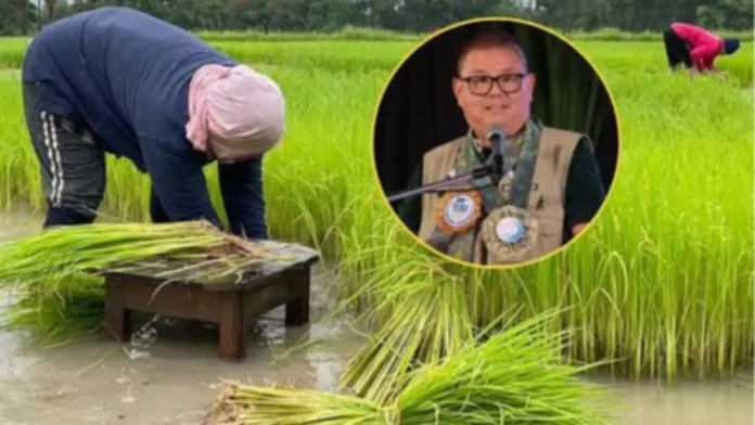 da-nag-apela-maaprubahan-p1984-b-budget-senado-tahaw-kan-grabeng-krisis-agrikultura