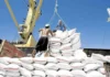 Importasyon nin Bagas kan Pilipinas, Nakaabot na sa 4.07M MT sa Tahaw kan El Niño