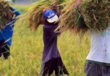 Amay na perwisyo kan El Niño sa agrikultura, ikinakabahala; Domino Effect sa ekonomiya asin Food Security, posibleng Mangyari