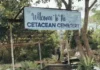 Mga nagadan na Marine Mammals tinatawan man pagrespeto tuyong undas sa paagi kan Cetacean Cemetery