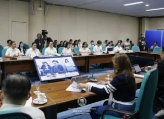 P785.204 Milyong Budget kan OVP para sa 2027, Lusot na sa Senate Finance Committee