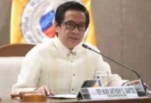 4 pang dayuhang drug network, sinasabing aktibo sa Pilipinas – House panel