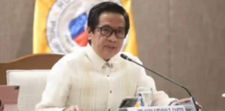 4 pang dayuhang drug network, sinasabing aktibo sa Pilipinas – House panel
