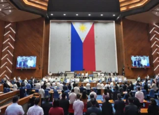 4 pang dayuhang drug network, sinasabing aktibo sa Pilipinas – House panel