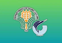 Pilipinas, target balikon an nangungunang pwesto: P34.66M kan DA-BFAR, magpapusog sa produksyon nin seaweed sa Zamboanga Peninsula