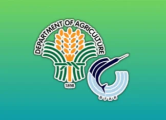 Pilipinas, target balikon an nangungunang pwesto: P34.66M kan DA-BFAR, magpapusog sa produksyon nin seaweed sa Zamboanga Peninsula