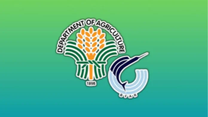 pilipinas-target-balikon-nangungunang-pwesto-p3466m-kan-da-bfar-magpapusog-produksyon-nin-seaweed-zamboanga-peninsula
