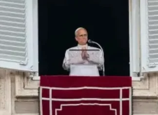 Pope Leo XIV, Nagpahiling liwat sa Publiko Matapos an Matrayumpong Operasyon