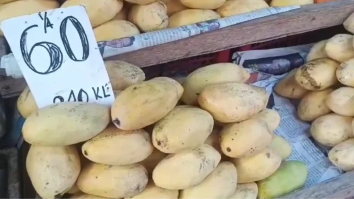 presyo-kan-mangga-padagos-malangkaw-huli-kakulangan-nin-suplay