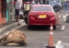 May sadiri kan Baka na nasangkot sa aksidente sa banwaan nin Pili padagos pang pinaghahanap; Driver, posibling makaskas an padalagan kan behikulo