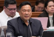 Sen. Ejercito, kinondenar an mga Pilipinong nagdedepensa sa China sa tahaw kan tensyon sa WPS