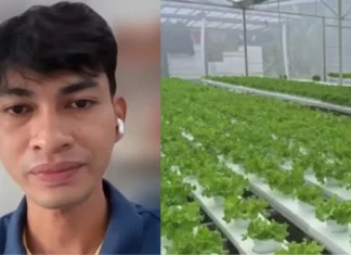Young Businessman, Ipigheras an karanasan asin mga hamon sa pagpapaunlad kan negosyo