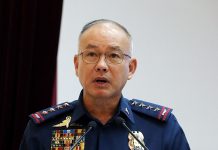 Wala pang qualified supplier sa pagbili ng mga body cameras ng PNP – Albayalde PNP Chief Albayalde