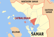 1 week after: Wildfire sa Samar, ‘di pa rin naaapula; 20 ektarya apektado Catbalogan Samar