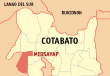 4 bayan sa North Cotabato tinukoy ng PDEA na may mga plantasyon ng marijuana Midsayap North Cotabato