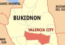 2 NPA rebels killed in Bukidnon encounter valencia bukidnon