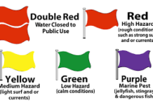 ‘Warning flags’ sa surfing area sa La Union, nilagay ng mga otoridad warning flags La Union