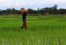 Batas para maisanla ng land reform beneficiaries ang titulo ng lupa sa bangko, dapat ipasa – Duterte Land Reform