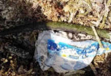 Controversial diaper na ibinaon ng umano’y Chinese tourist sa dalampasigan ng Boracay, nakita na cropped diaper