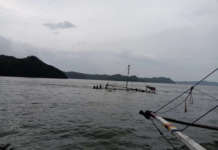 Search and rescue ops on to find 5 missing victims in Iloilo Strait iloilo dead