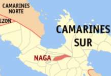 6 dead, 3 injured after multi-vehicle crash in Quezon naga camarines sur