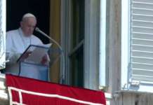 ‘Amazon rainforest is vital for our planet’ – Pope Francis pope francis 2