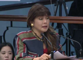 cropped Sen Imee marcos