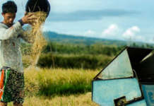 ‘Land speculation’ sa mahal na pagbili ng lupa, malaking hamon sa mga magsasaka – Bantay Bigas cropped farmers 2