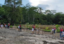 14 Miss Earth beauty queens, mangunguna sa mangrove tree planting sa Misamis Oriental Miss Earth6