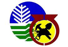 ‘Pasaway na mining companies hindi sasantuhin; paparusahan kapag lumabag sa envi laws’ – MGB MGB Mines and Geosciences Bureau
