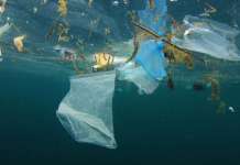 UN report: Southeast Asian countries ‘worst ocean polluters’ WWF Ocean Pollution
