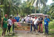PALMA+PB Alliance patuloy na isinagawa ang treevolution program treevolution