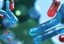 ‘Monoclonal antibodies’ treatment sa COVID-19 posibleng gamitin din sa Pilipinas: DOH monoclonal antibodies