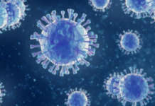 UK variant ng coronavirus, nag-mutate uli – scientists COVID 19 covid VIRUS