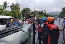 15 sugatan, isa patay sa salpukan ng van at jeep sa Sorsogon accident sorsogon truck