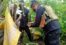 Planong pambobomba ng terrorist group napigilan sa pagkaaresto sa bomb expert – AFP akbar terror group Alkhobar Maguindanao