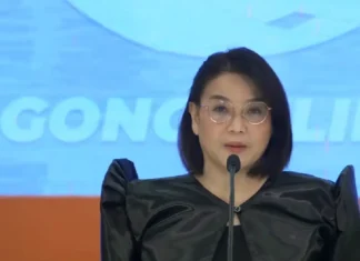 Castro, iginiit na premature ang usapin sa paghalili kay VP Sara