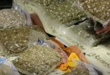 Babaeng Thai national hinatulan ng life imprisonment dahil sa pagpupuslit ng droga sa bansa