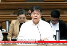 Sen. Pangilinan, hiniling na bigyang-prayorida ang tubig at irigasyon sa 2027 DA budget