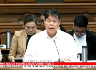 Sen. Pangilinan, hiniling na bigyang-prayorida ang tubig at irigasyon sa 2027 DA budget