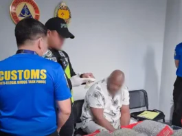 P24.79-M halaga ng marijuana kush, nasabat sa NAIA; amerikano arestado