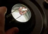 Rare pink diamond na ninakaw ng halos 100 taon idi-display sa publiko sa France
