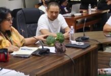 Bagsak-Presyong Imported na Broccoli sa Benguet, Pinaiimbestigahan ng DA