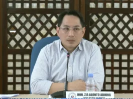 Mga pagkakamali sa 2027 budget, maaring itama sa Bicam- Rep. Adiong