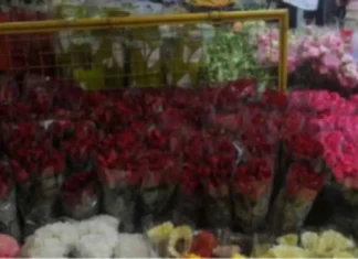 Presyo ng mga bulaklak sa Dangwa, doble umano ngayong nalalapit na Undas kumpara noong nakaraang taon; Rajan at Orchid, ilan sa mga pinakamabenta