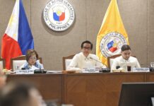 4 pang dayuhang drug network, umano’y aktibo sa Pilipinas – House panel