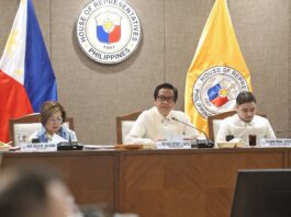4 pang dayuhang drug network, umano’y aktibo sa Pilipinas – House panel