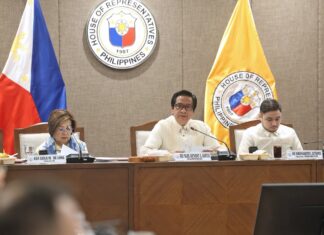 4 pang dayuhang drug network, umano’y aktibo sa Pilipinas – House panel